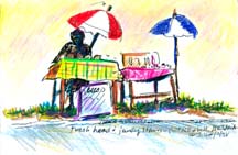 Colored Pencil Sketch Bequia