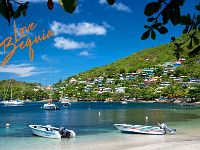 lovebequia1