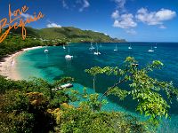 lovebequia2