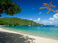 lovebequia30