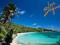 lovebequia5