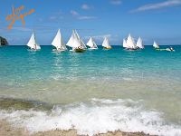 lovebequia51
