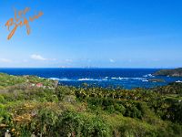 lovebequia55