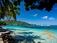 lovebequia60