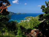 lovebequia65