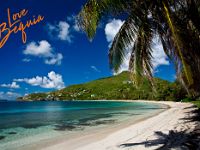 lovebequia66