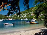 lovebequia78