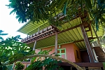 WDE_1295