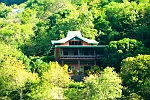 WDE_1442